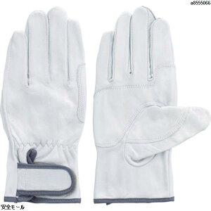 �x�m�O���[�u ���Y���{�v��� ���C���W���[�{�[�C ��LL�@3624�@1�o