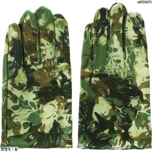 �x�m�O���[�u PH-22 ���� LL�@5120�@1�o