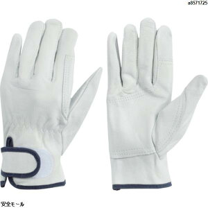 g \v W[En L (10o)@475EL@1