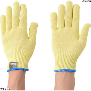 Ag ϐؑn Pu[(R)10G M@HG07M@1o