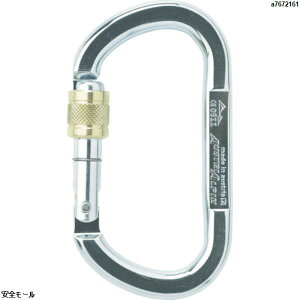 ALPIN OVAL ASYMM XL �X�N�����[���b�N ���a13.5 �V���o�[�@TP11AK�@1��