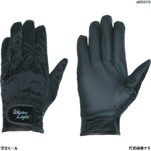 yMG[X h Pp^[WINTER W-5 LL@W5LL@1o