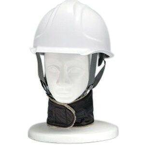 DIC wbg ANZT wbgp zJzJlbN 12