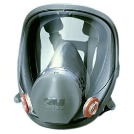 3M 防毒マスク 全面形面体 日本 国家検定合格 6000F サイズ M L