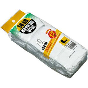 Ag Ɨp  XX}`iV 12o (jbg҂݌yƗpȎ iǗEƁE)