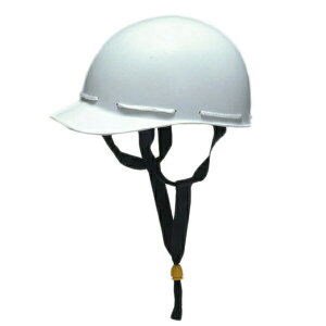 Y wbg qp ʊw wbg H-1W Ci[