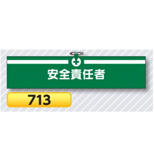 r SӔC 713y䂤pPbgΉiX֎󂯓jz Er͈Sr Hp