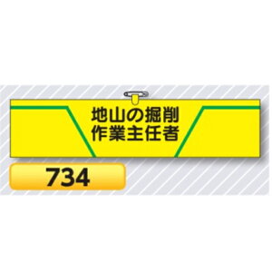 r nŘ@ƎC 734y䂤pPbgΉiX֎󂯓jz Er͈Sr Hp