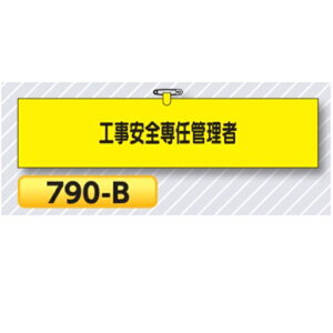 r HSCǗ 790-By䂤pPbgΉiX֎󂯓jz Er͈Sr SHp