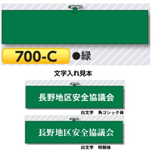 ŕy䂤pPbgΉiX֎󂯓jz ΐFEwAASsAqtr