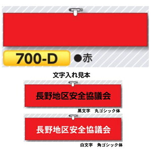 ŕy䂤pPbgΉiX֎󂯓jz ԐFEwAASsAqtr