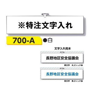 ŕy䂤pPbgΉiX֎󂯓jz EwAASsAqtr