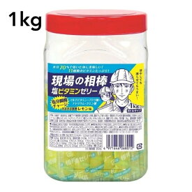 熱中症対策　現場の相棒 塩ビタミンゼリー 1kgボトルタイプ (約100本入)× 6個セット 1ケース
