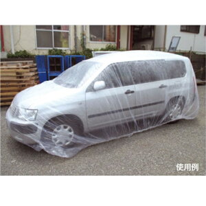 ԗ{Jo[@yԁ`^p 3600×6500×0.03mm@1@H[