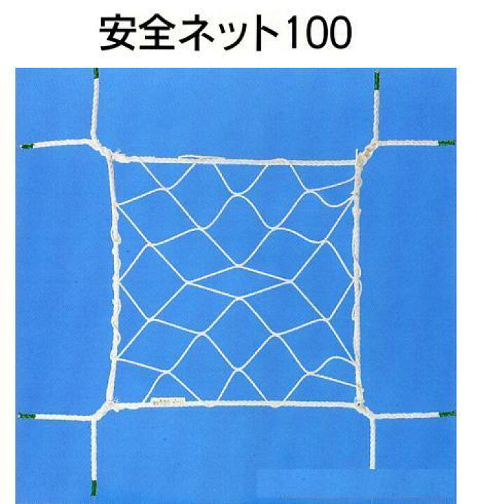 楽天市場】安全ネット 100 墜落・転落防止ネット 5×5 5枚セット【大型 