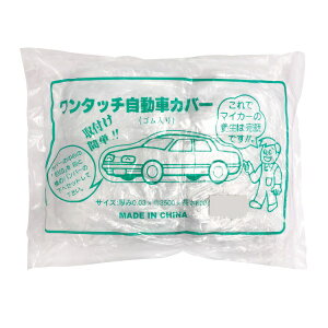 ԗ{Jo[iLLj{bNXԗp 4800×7500mm@10Zbg P~J