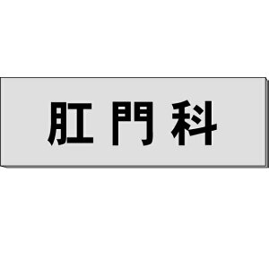 Duȁv@O[@H80×W240×3mm@y䂤pPbgΉiX֎󂯓jz