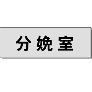 Du؎v@O[@H80×W240×3mm@y䂤pPbgΉiX֎󂯓jz