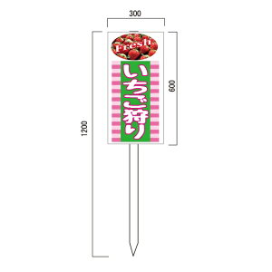 uvŔ@600×300mm@ؐxt\