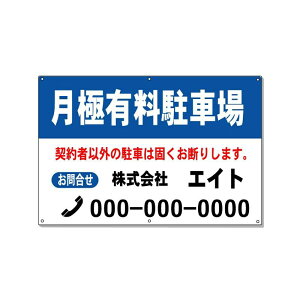 ԏpŔ@ɗLԏŔ@600×910mm A~@3m