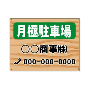 ԏpŔ@ؖڒ@ɒԏŔ@450×600mm A~@3mm