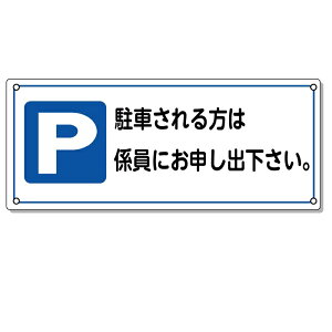 ԏpŔ@uԂ͌Wɂ\oBv@250×600mm A~@3mm