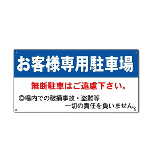 ԏpŔ@qlpԏŔ@300×600mm A~@3mm