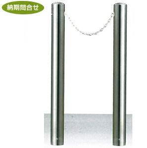 Ԏ~߁i|Xg^CvjTL h[}N 101.6×L1100mmiSj@NT(2m){NTi[j2{Zbg@XeX@Œ莮@SP-10CN SP-10CNT [mFiy^iEl