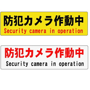 hƃJ쓮v[g@p(English){\y䂤pPbgΉiX֎󂯓jz˒ӊŔ@^CvH80×W300mm