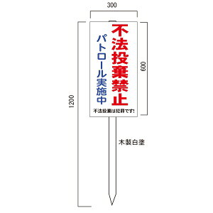 us@֎~v@ӊŔ@600×300mm@ؐxt(1.2m)\