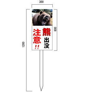 uF@ovӁvQb bQ ӊŔ@600×300mm@ؐxt(1.2m)\