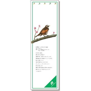 V[M[@쒹G 1000×320mm@C[WAbvpi 916-41`916-45@jbg