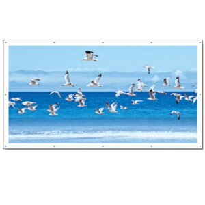 C[WAbv@tFXV[g y10Zbgz K[htFXډBV[g@ʐ^tFXV[g@H[ GS-31`GS-34