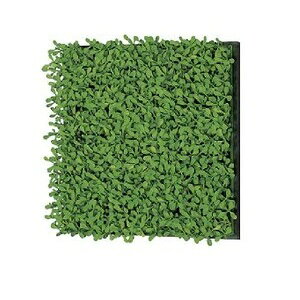 TCfBXvC O[[h AڃO[@25cmp GR1166@ylzsz