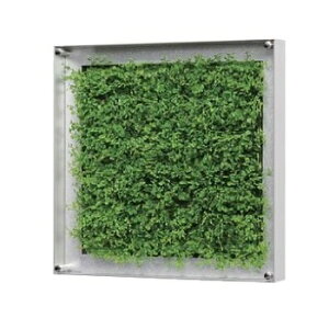 TCfBXvC O[[h EI[O[ 31.7×31.7cm ANJo[ GR3302@ylzsz