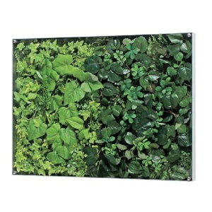 �T�C���f�B�X�v���C �O���[�����[�h �E�I�[���O���[�� 60×45cm �����A�N�����J�o�[ GR3566�@�y�l��z���s�z