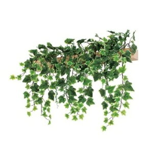 TCfBXvC O[[h fUC|bg 60.6×5.2×6.0cm GR4072@ylzsz