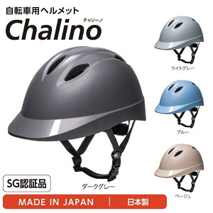 ySGFiz]ԗpwbg Chalino@`[m ʋ ʊw hЗp DIC