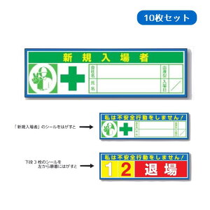 wbgpXebJ[@VK҃CG[J[hXebJ[@uЖEEt^Ev30×100mm 10Zbgy䂤pPbgΉiX֎󂯓jz847-A