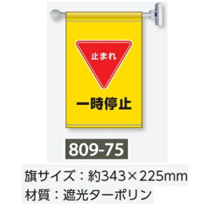 tbO˂oW@ꎞ~@}Olbgt@p@809-75