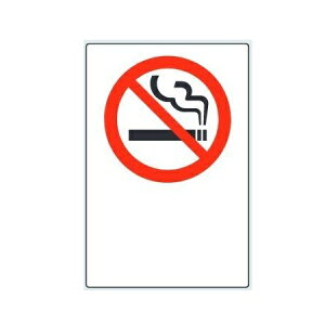 u։v(51g) JISKiSW XebJ[ 150×100mm 803-33B jbgy䂤pPbgΉiX֎󂯓jz