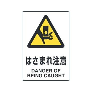 u͂܂꒍Ӂv(51g) JISKiSW XebJ[ 150×100mm 803-55B jbgy䂤pPbgΉiX֎󂯓jz