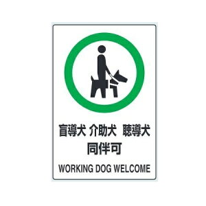 uӓ   v(51g) JISKiSW XebJ[ 150×100mm 803-58 jbgy䂤pPbgΉiX֎󂯓jz