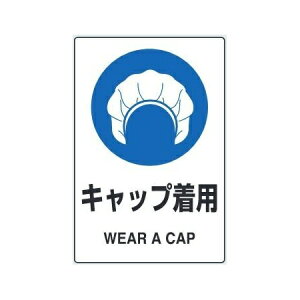 uLbvpv(51g) JISKiSW XebJ[ 150×100mm 803-60A jbgy䂤pPbgΉiX֎󂯓jz