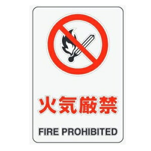 u΋Cցv(51g) JISKiSW XebJ[ 150×100mm 807-62B jbgy䂤pPbgΉiX֎󂯓jz