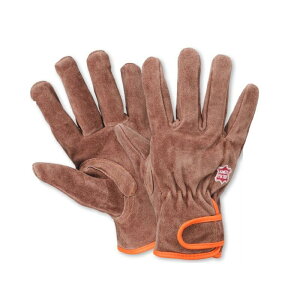 h hvICuE}WbN WT-803 jbg