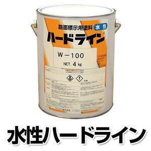 ԏpCpHyCg@n[hCW-100@@4kg