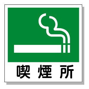 i@sNgTC 150×150mm vX`bN(ʃe[vt)y䂤pPbgΉiX֎󂯓jz