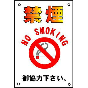 ։Ŕy䂤pPbgΉiX֎󂯓jz։[\ij^e300×R200mm