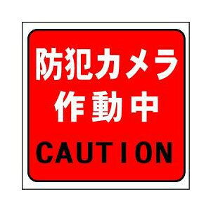 hƃJ쓮XebJ[y䂤pPbgΉiX֎󂯓jz˒ӕWH150*W150mm